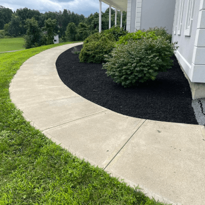Landscape Design